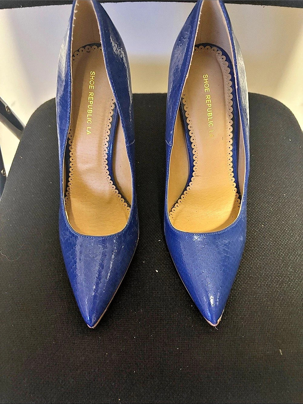 Shoe Republic LA Pointed Toe High Heels in Blue